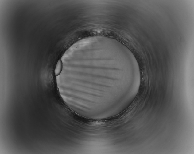 X0000089340754200707131512