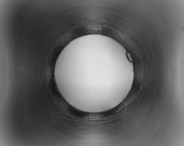 X0000089340758200707131512