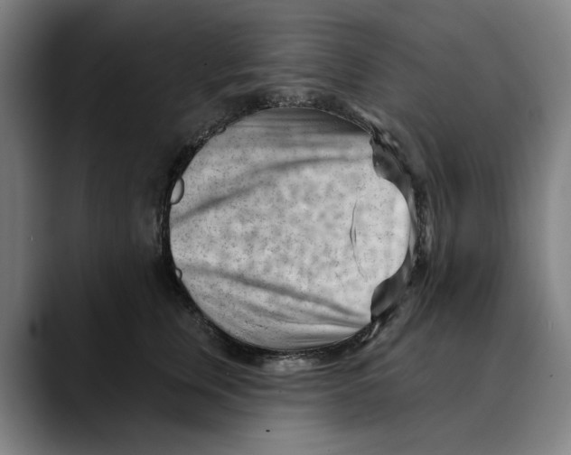 X0000089340759200707131512