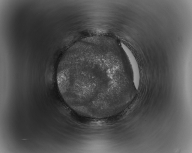 X0000089340760200707131512