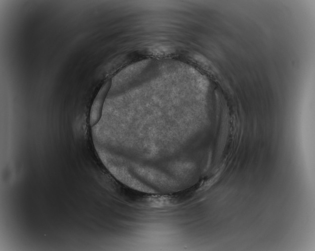 X0000089340762200707131512
