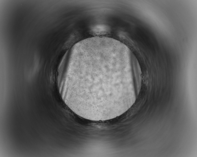 X0000089340763200707131512
