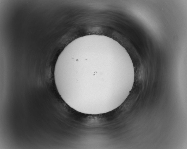 X0000089340764200707131512
