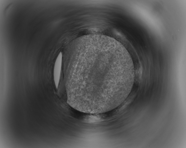 X0000089340765200707131512