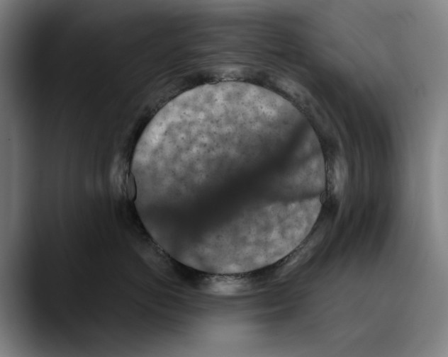 X0000089340766200707131512
