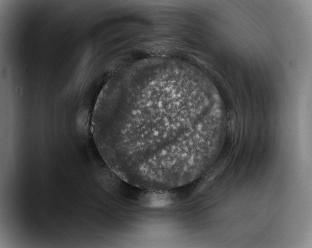 X0000089340767200707131512
