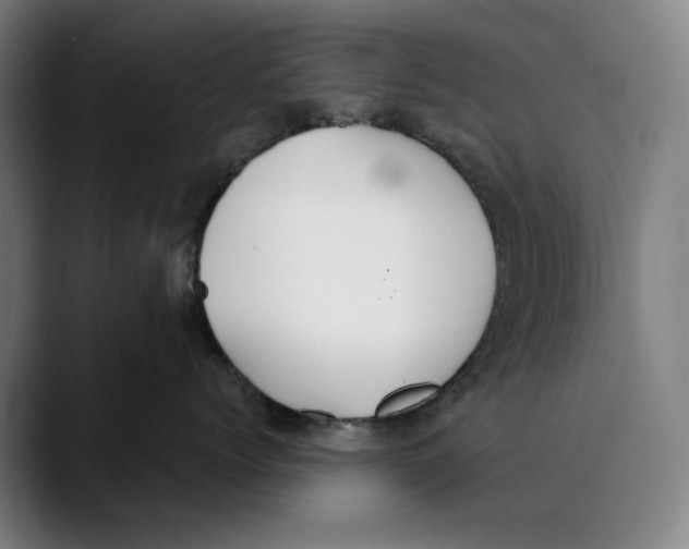 X0000089340768200707131512