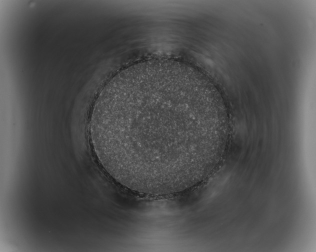 X0000089340769200707131511