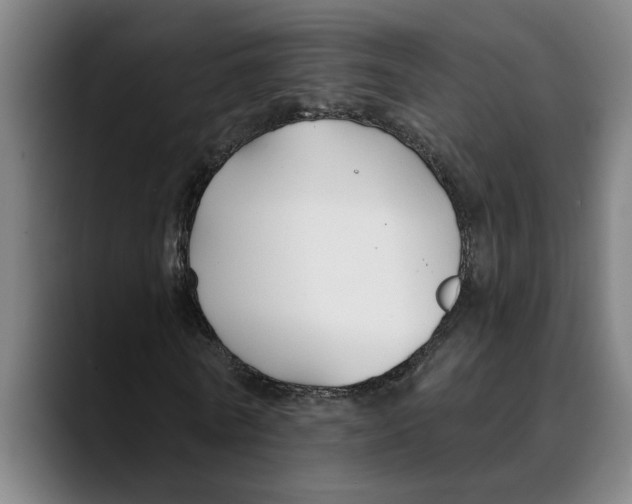 X0000089340770200707131511