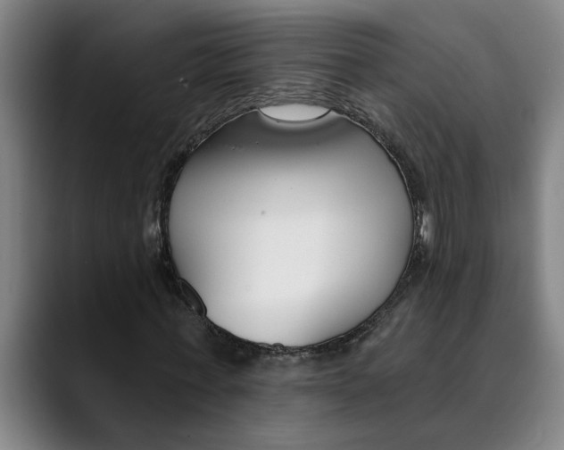 X0000089340771200707131511