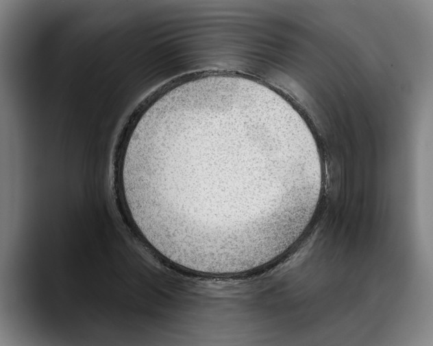 X0000089340780200707131511