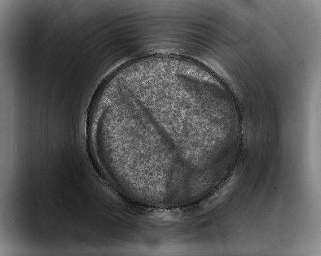 X0000089340790200707131511