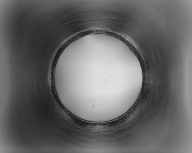 X0000089340791200707131511