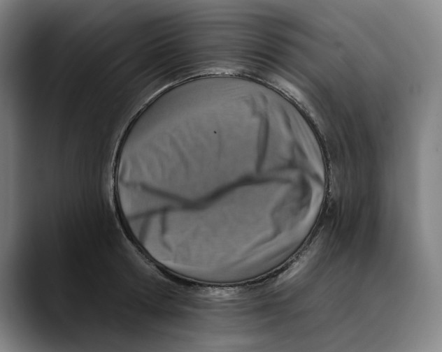 X0000089340802200707131511