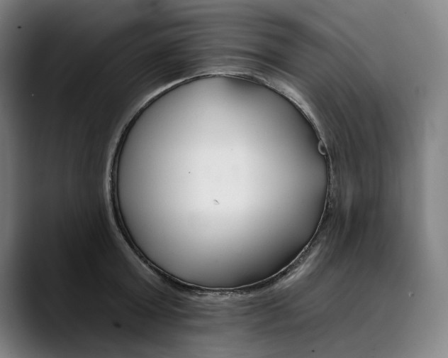X0000089340803200707131511