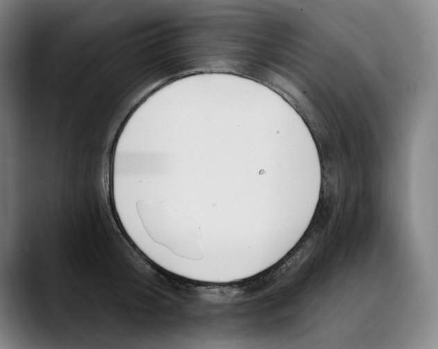 X0000089340804200707131511
