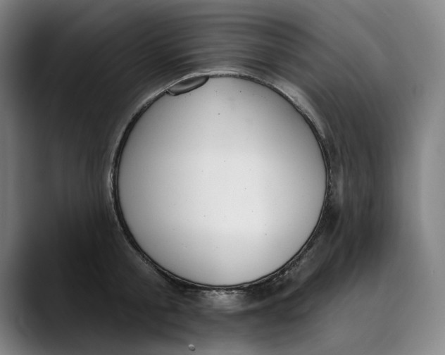 X0000089340805200707131511