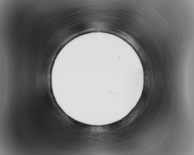 X0000089340807200707131511