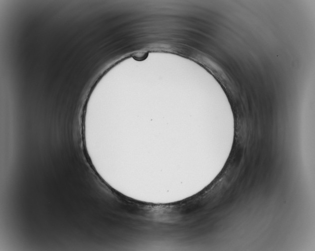 X0000089340808200707131511
