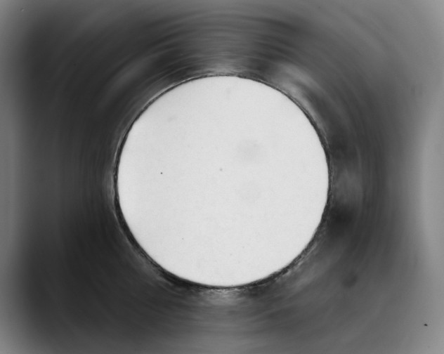 X0000089340810200707131511