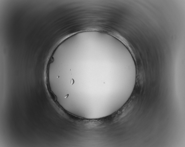 X0000089340811200707131511