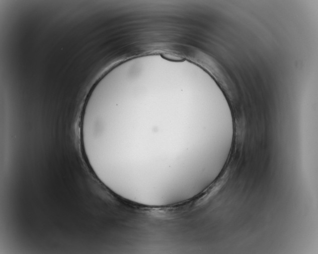 X0000089340814200707131511