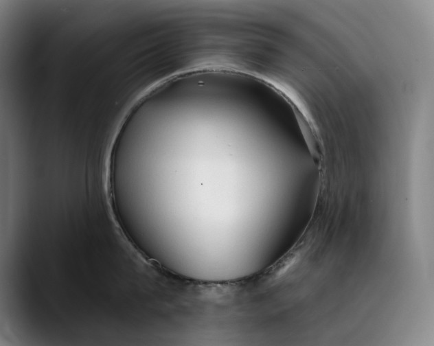 X0000089340815200707131511