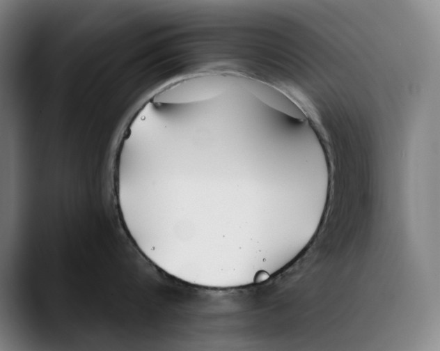 X0000089340816200707131511