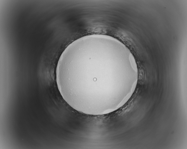 X0000089340820200707131510