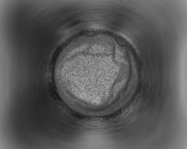 X0000089340823200707131510