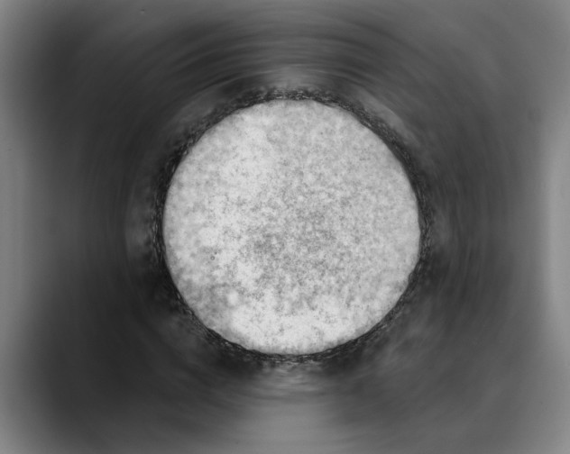 X0000089340824200707131510