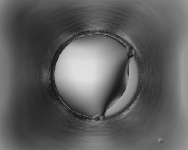 X0000089340826200707131510