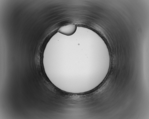 X0000089340827200707131510