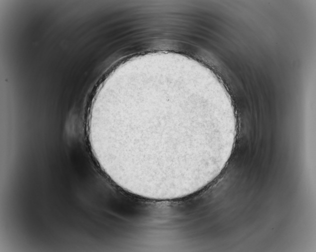 X0000089340828200707131510