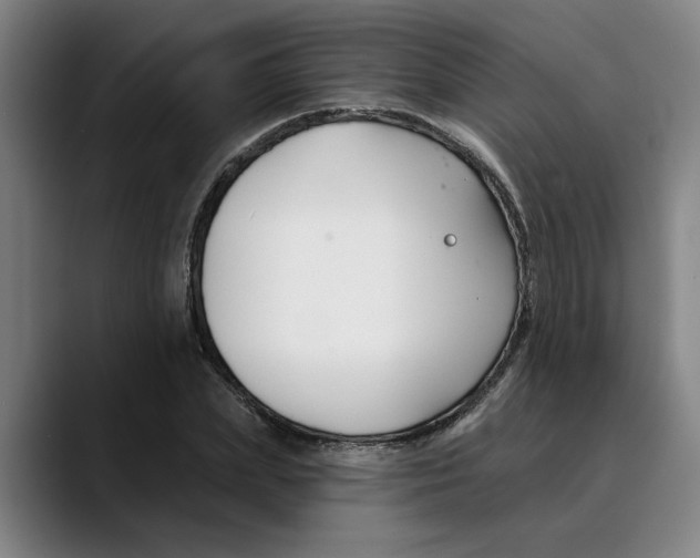 X0000089340831200707131511