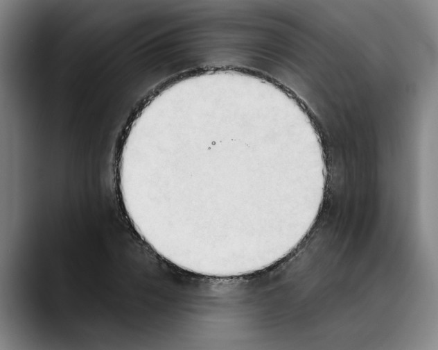 X0000089340832200707131511
