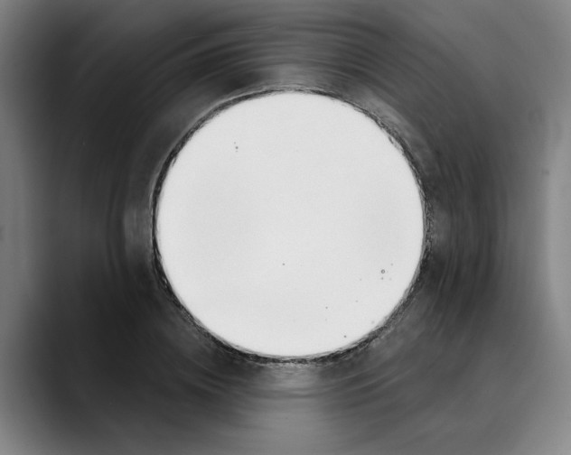 X0000089340836200707131511