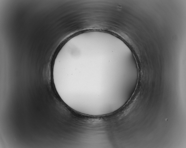X0000089340838200707131511