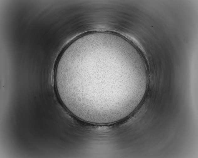 X0000089340839200707131511