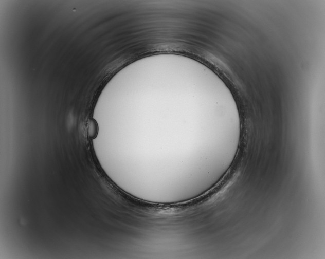 X0000089340841200707131511