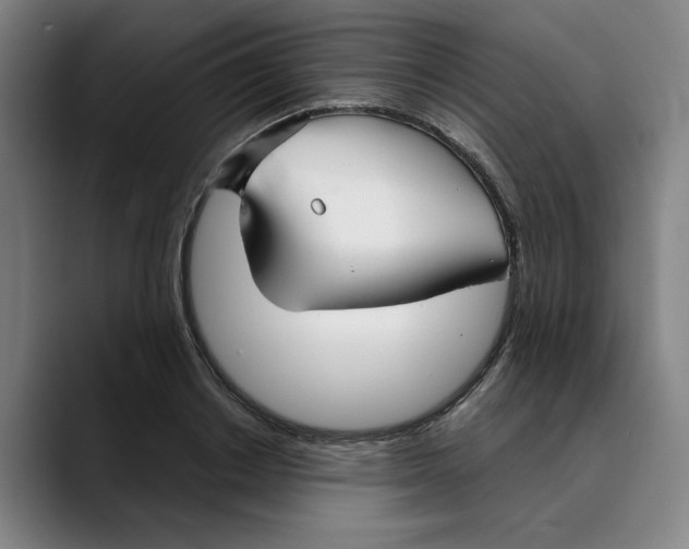 X0000089340842200707131511