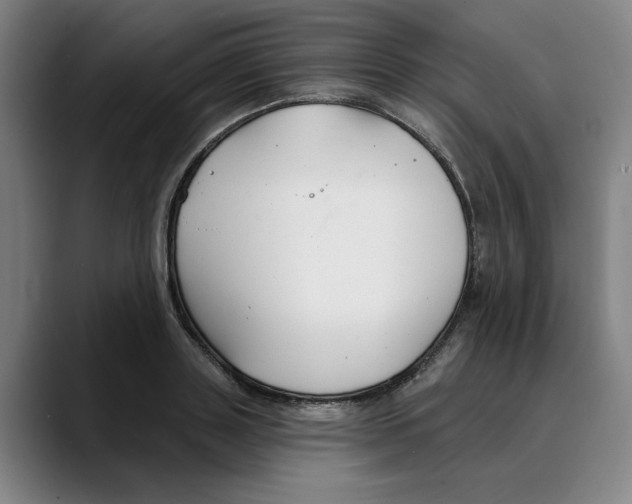 X0000089340843200707131511