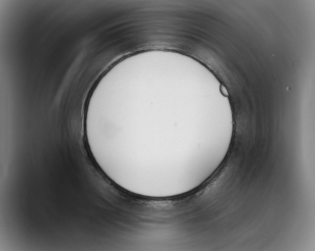X0000089340844200707131511