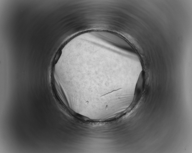 X0000089340846200707131511