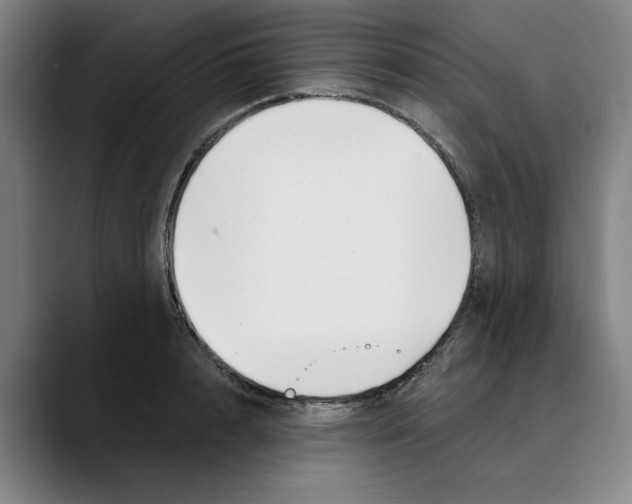 X0000089340848200707131511