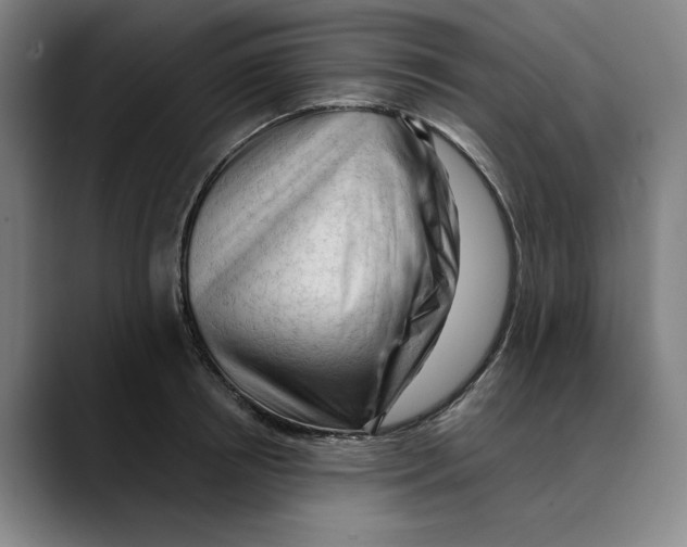 X0000089340850200707131511