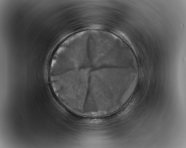 X0000089340851200707131511