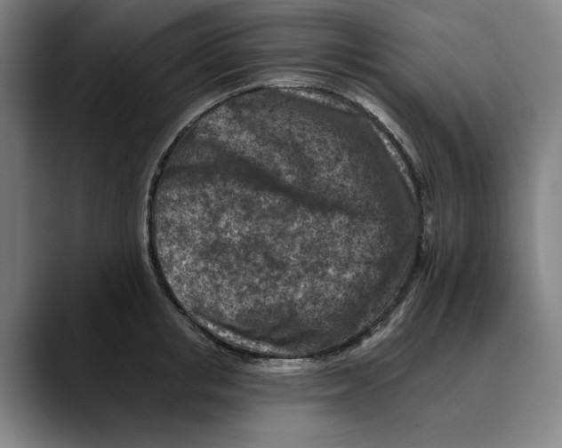 X0000089340853200707131511