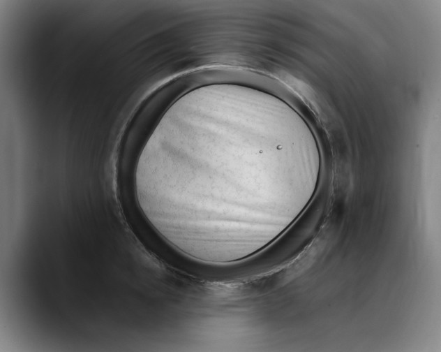 X0000089340854200707131511