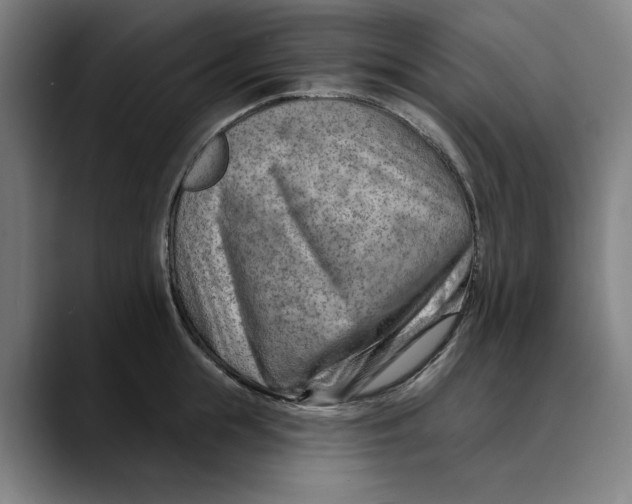 X0000089340855200707131511